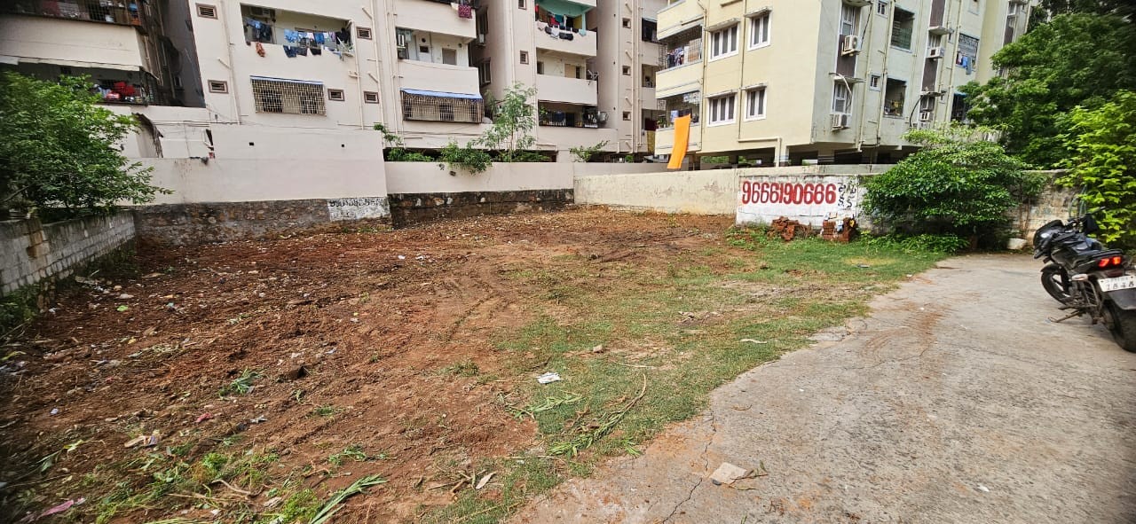 scaled_IMG-20260320-WA0036