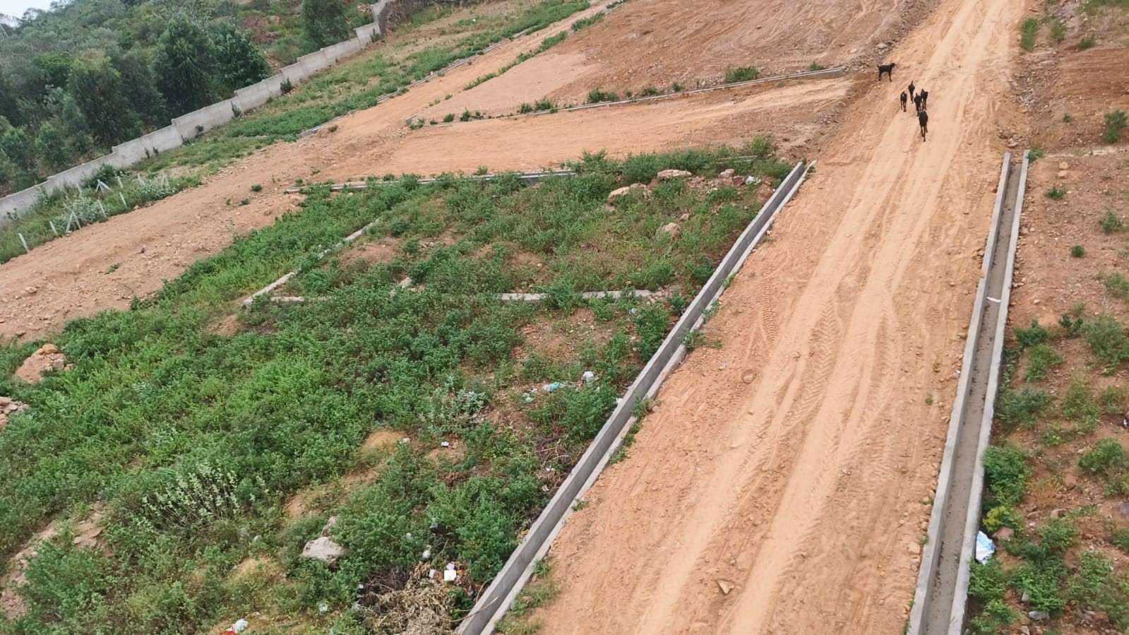 scaled_IMG-20260320-WA0013