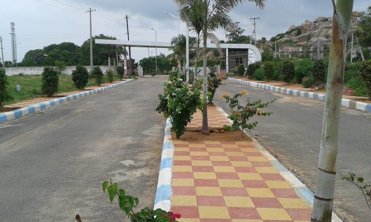 scaled_IMG-20250123-WA0070