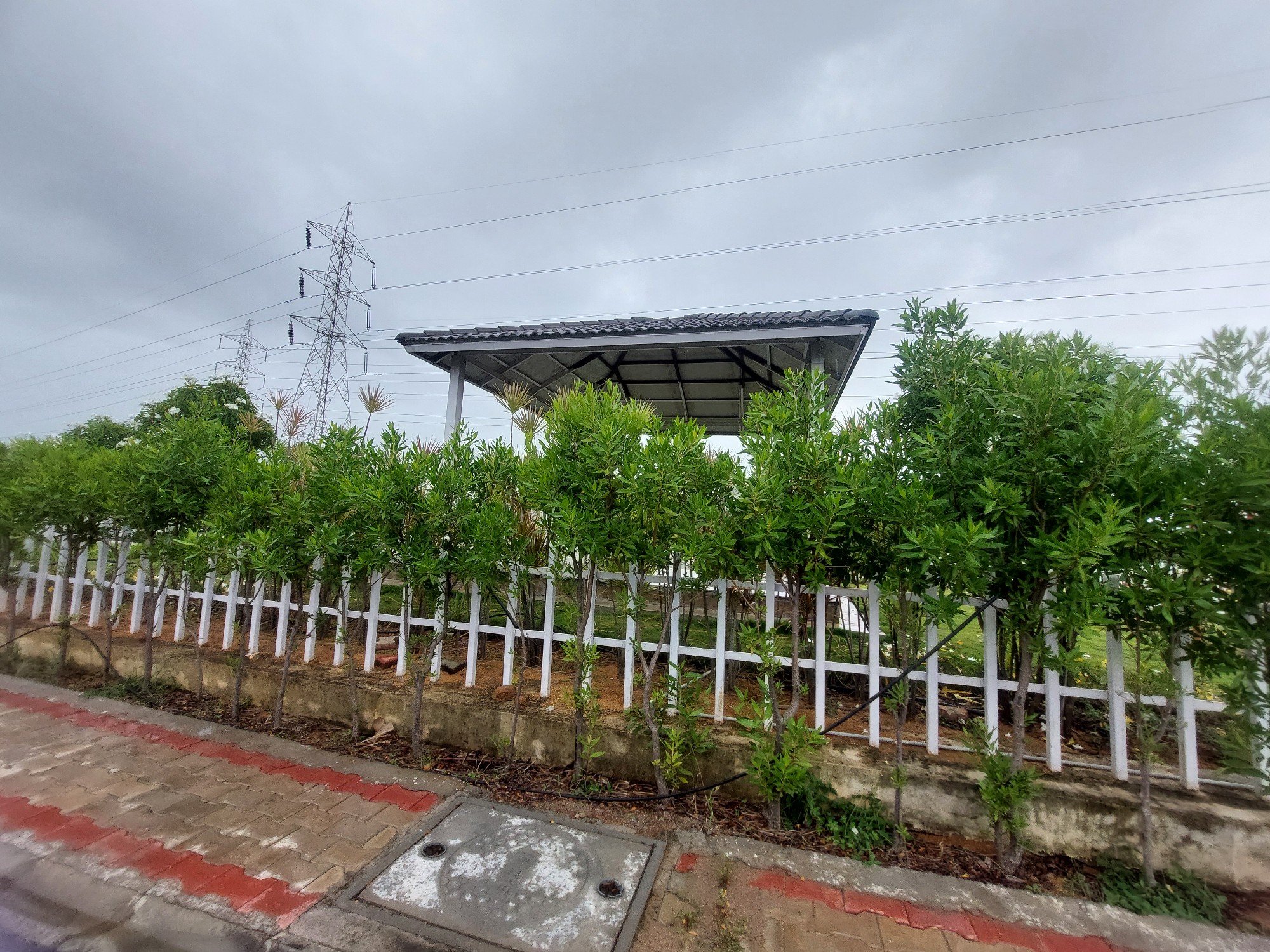 scaled_20250725_154807