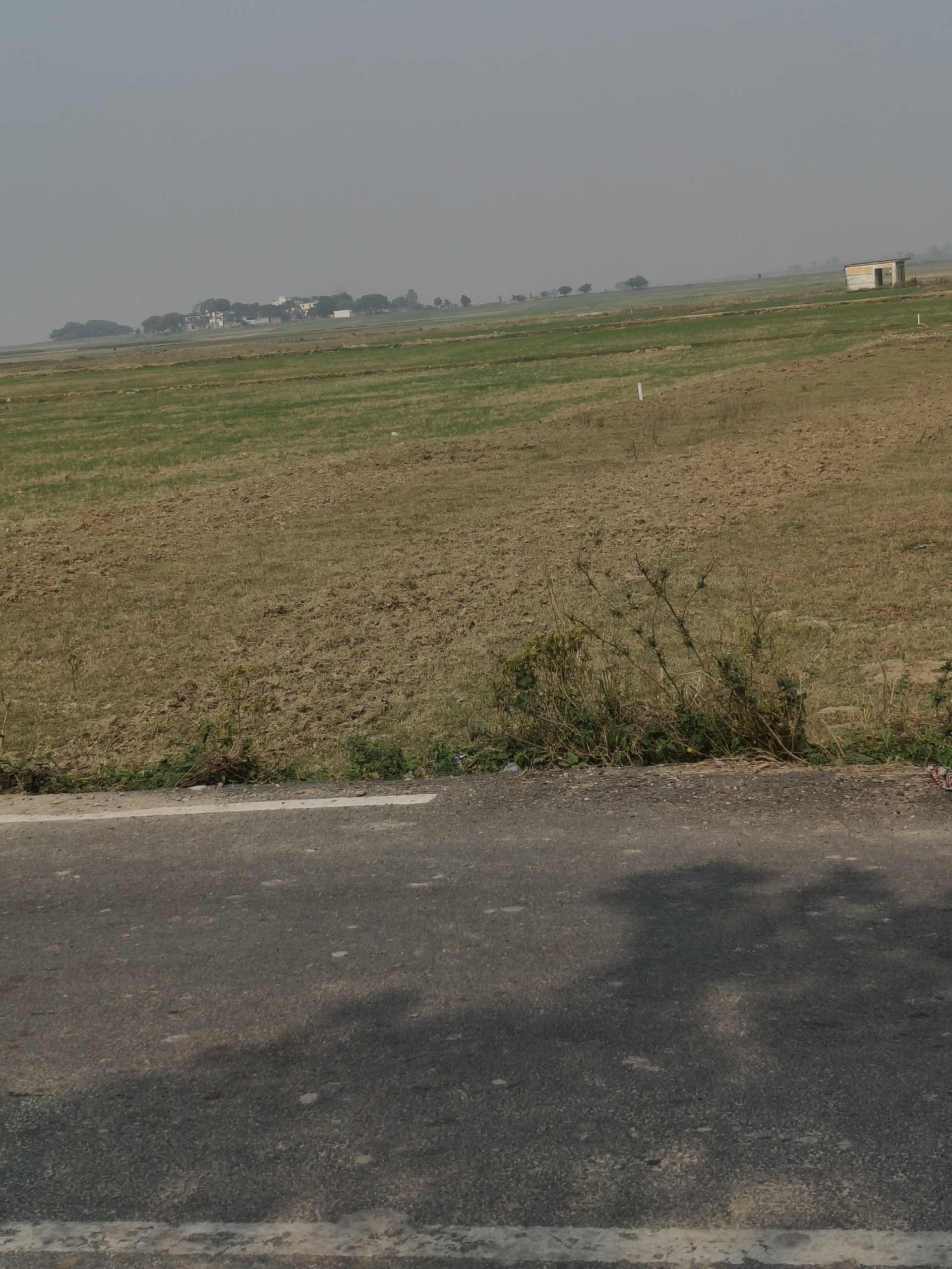 scaled_56d8ac8c-0719-400c-b35c-2f691a704408-1_all_7275