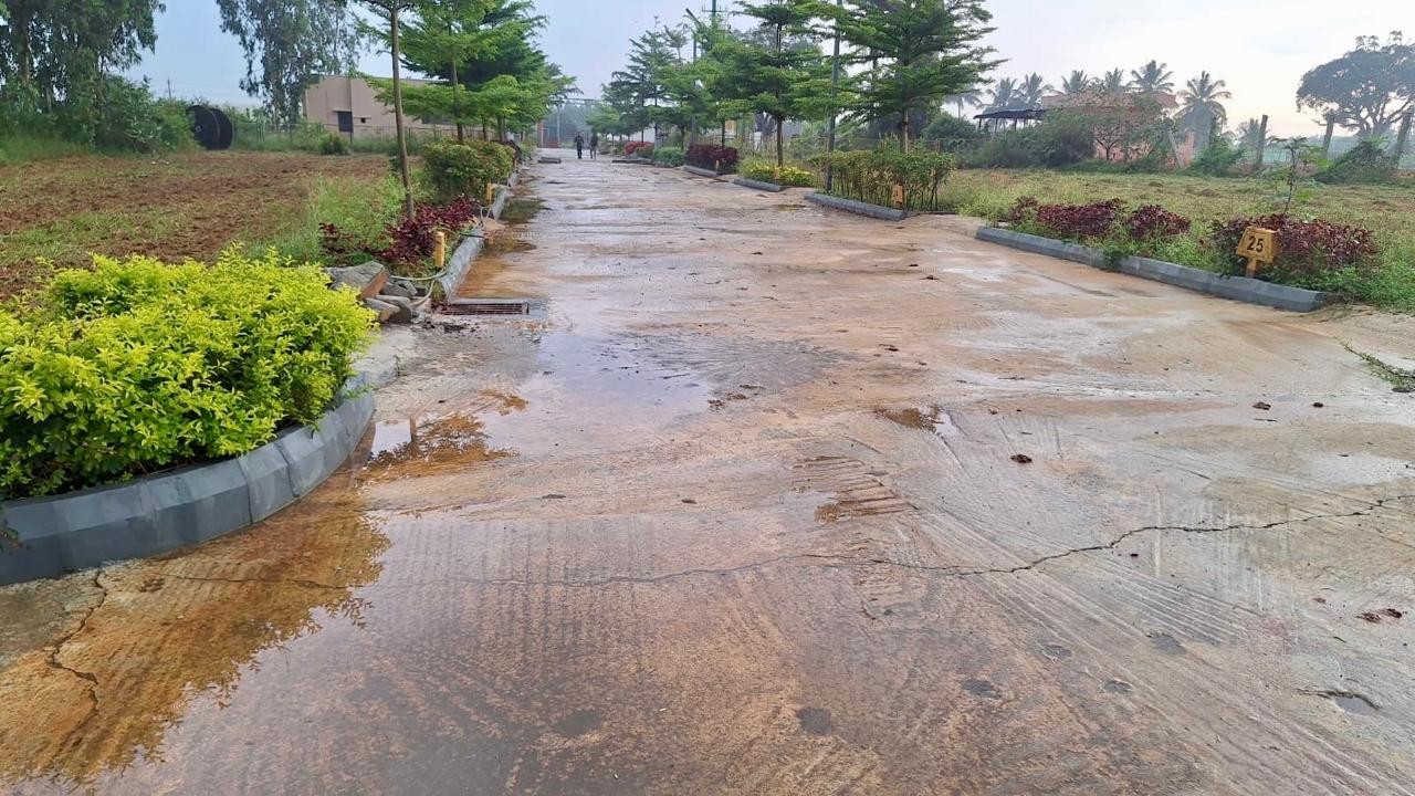 Bhavathi Sliver Woods