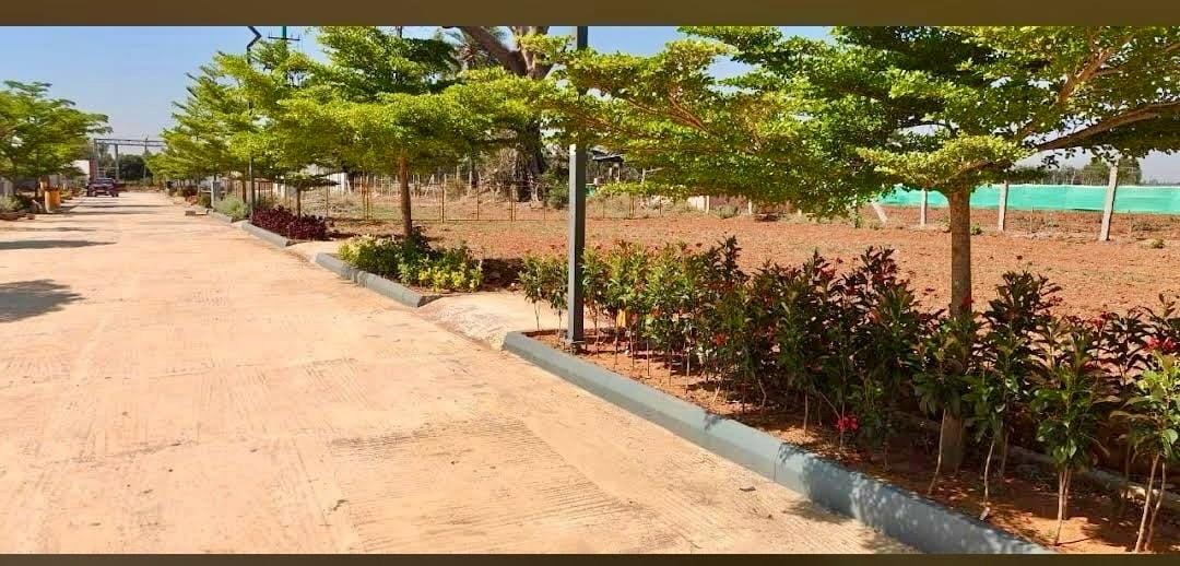 Bhavathi Sliver Woods 2