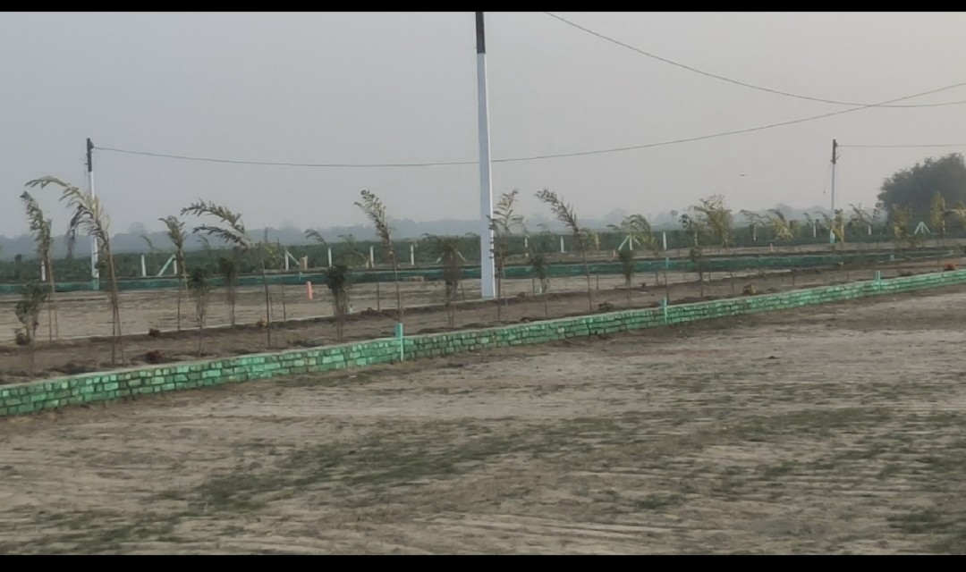 18 bigha plot 2