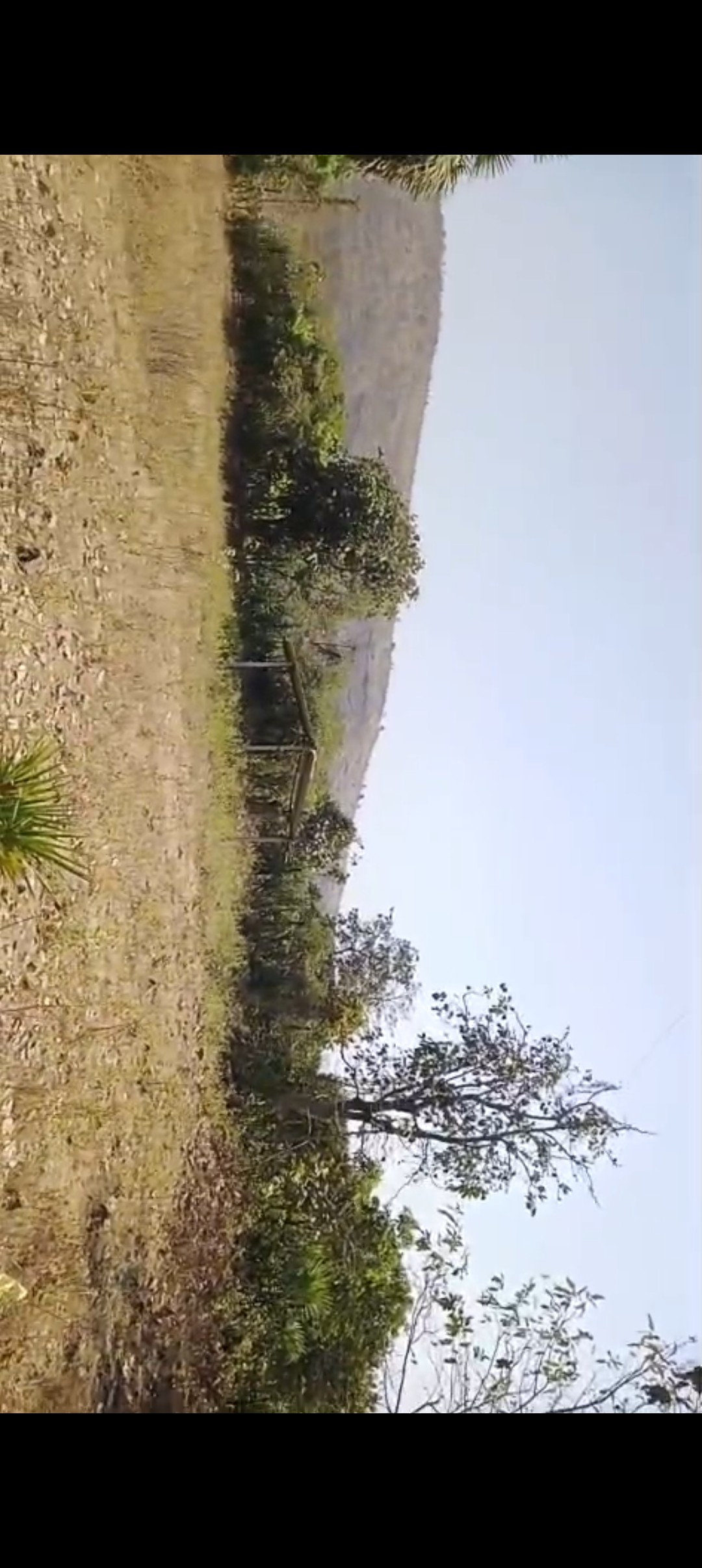 Agricultural land for sale at manor,palghar 3