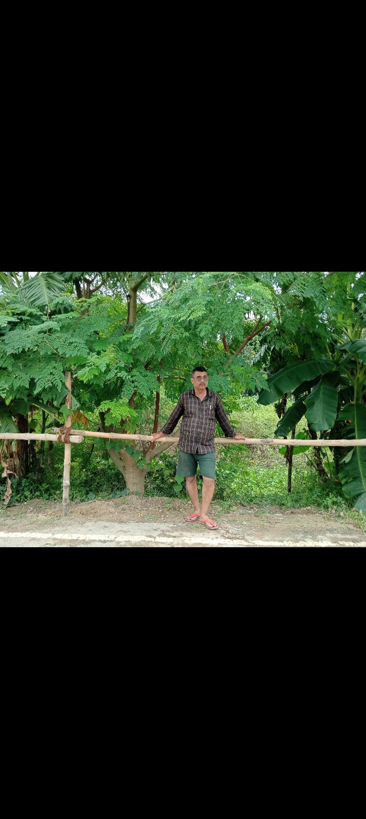 my property