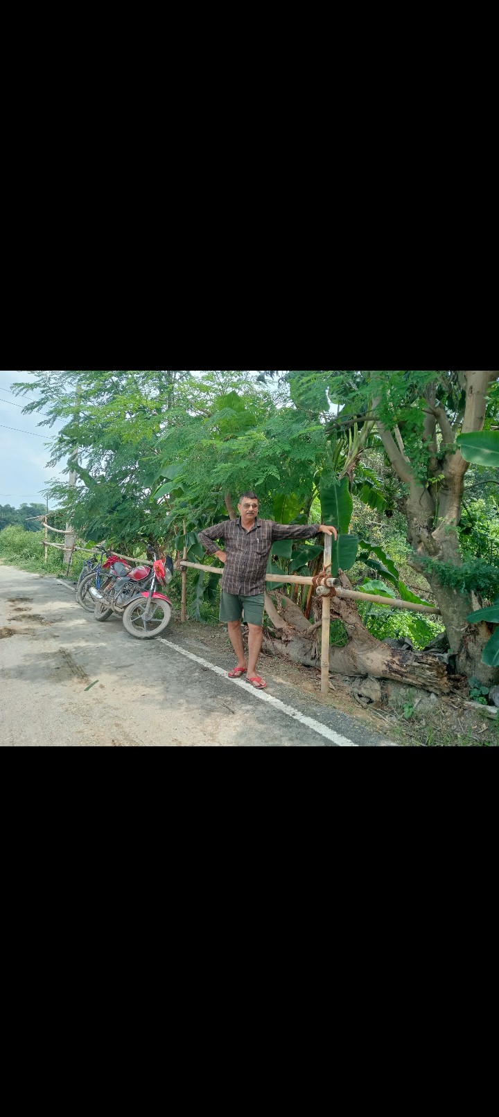 my property 3
