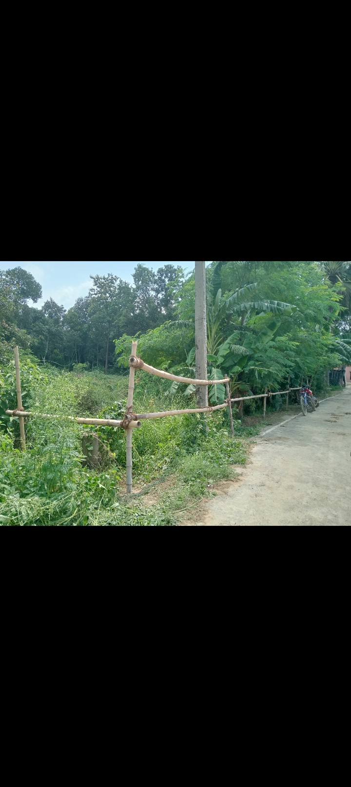 my property 2