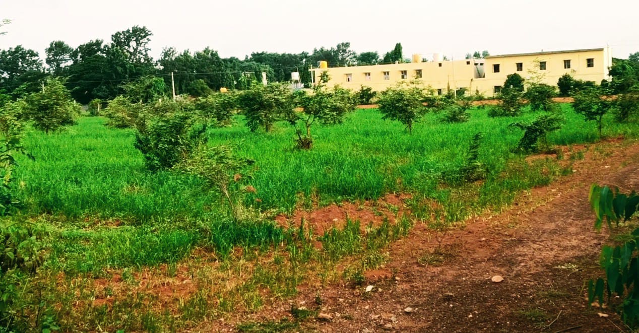 14 guntas managed form land 2