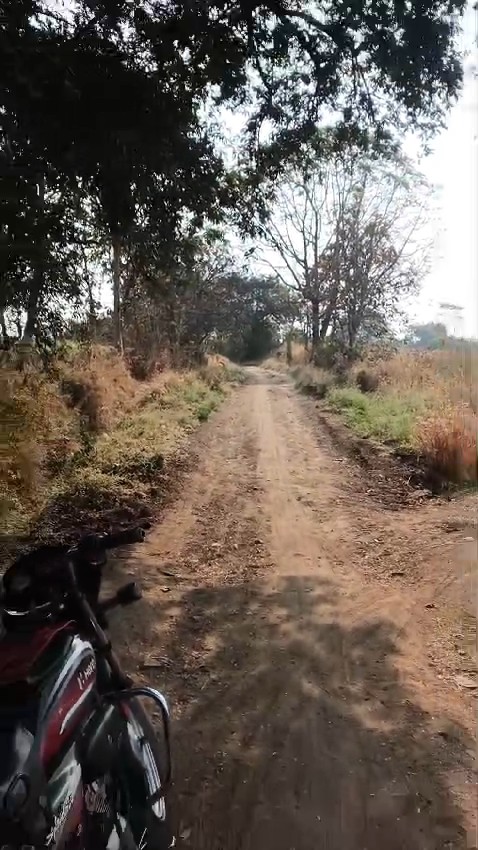 agriculture land for sale