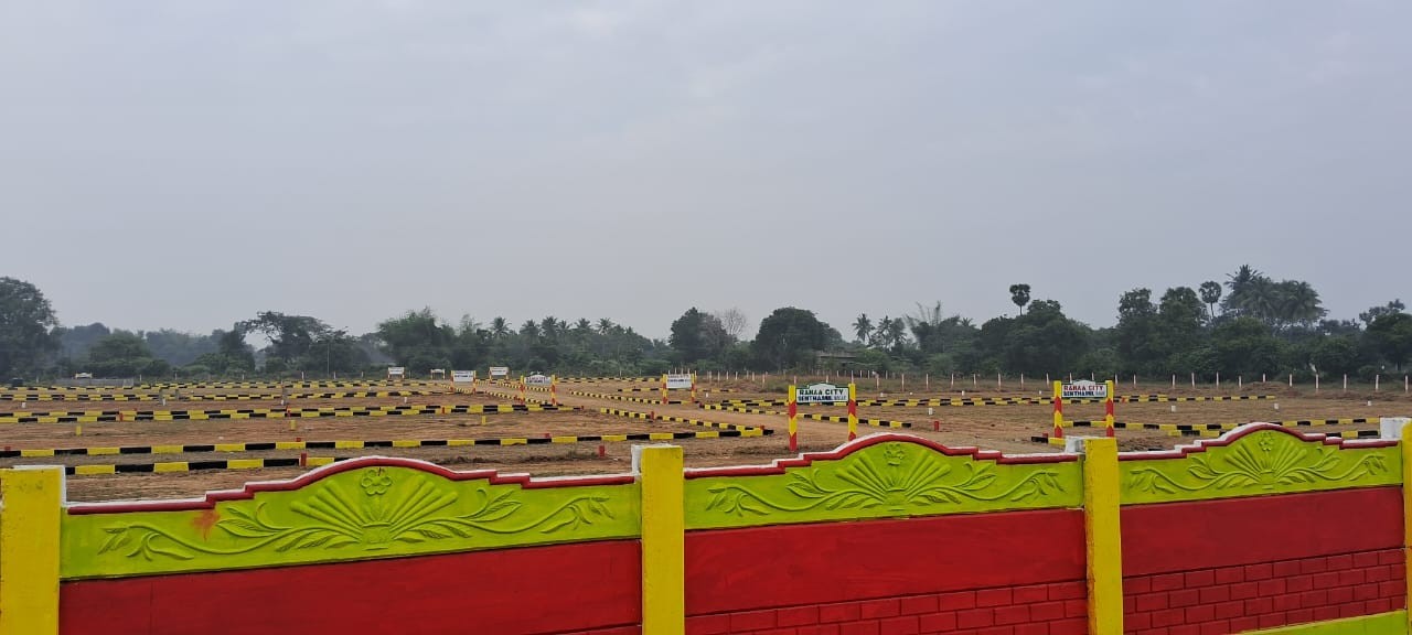 rahaa associate 3