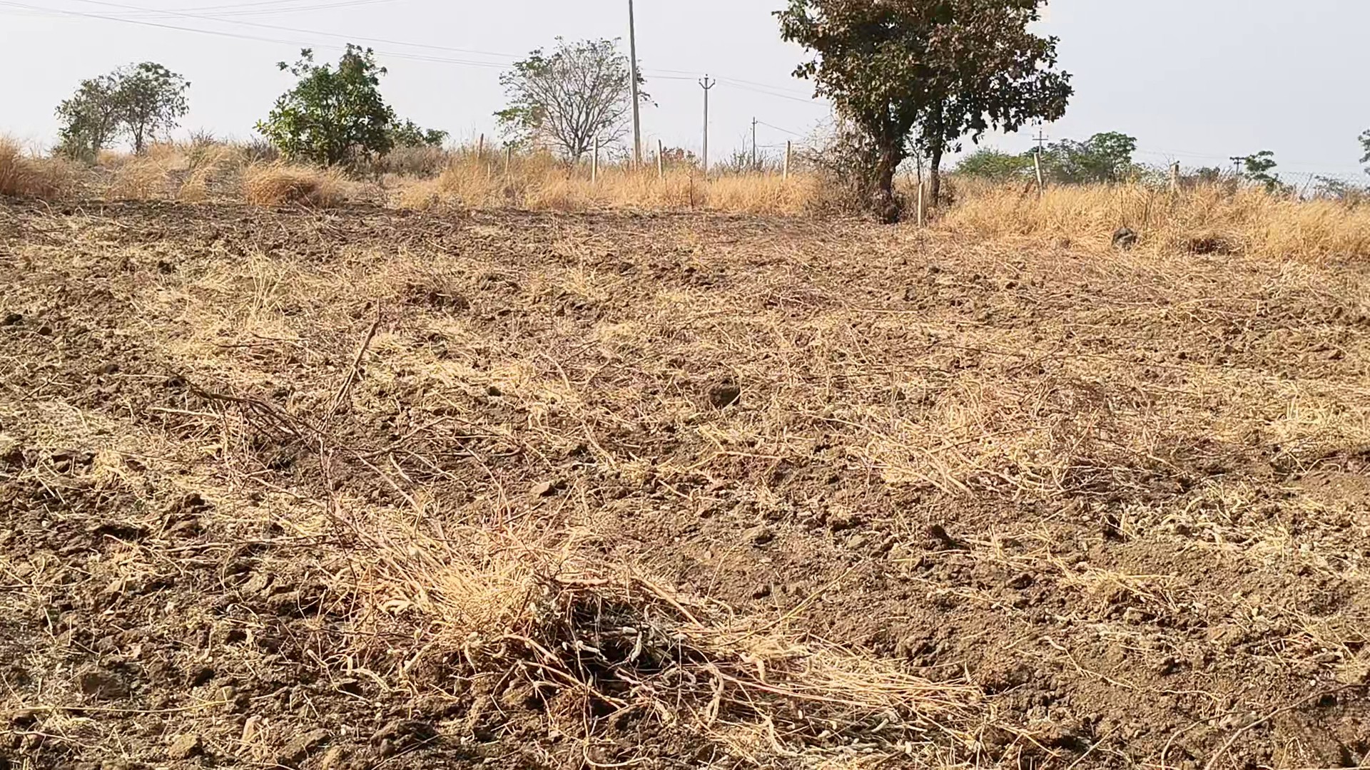 agriculture land for sale