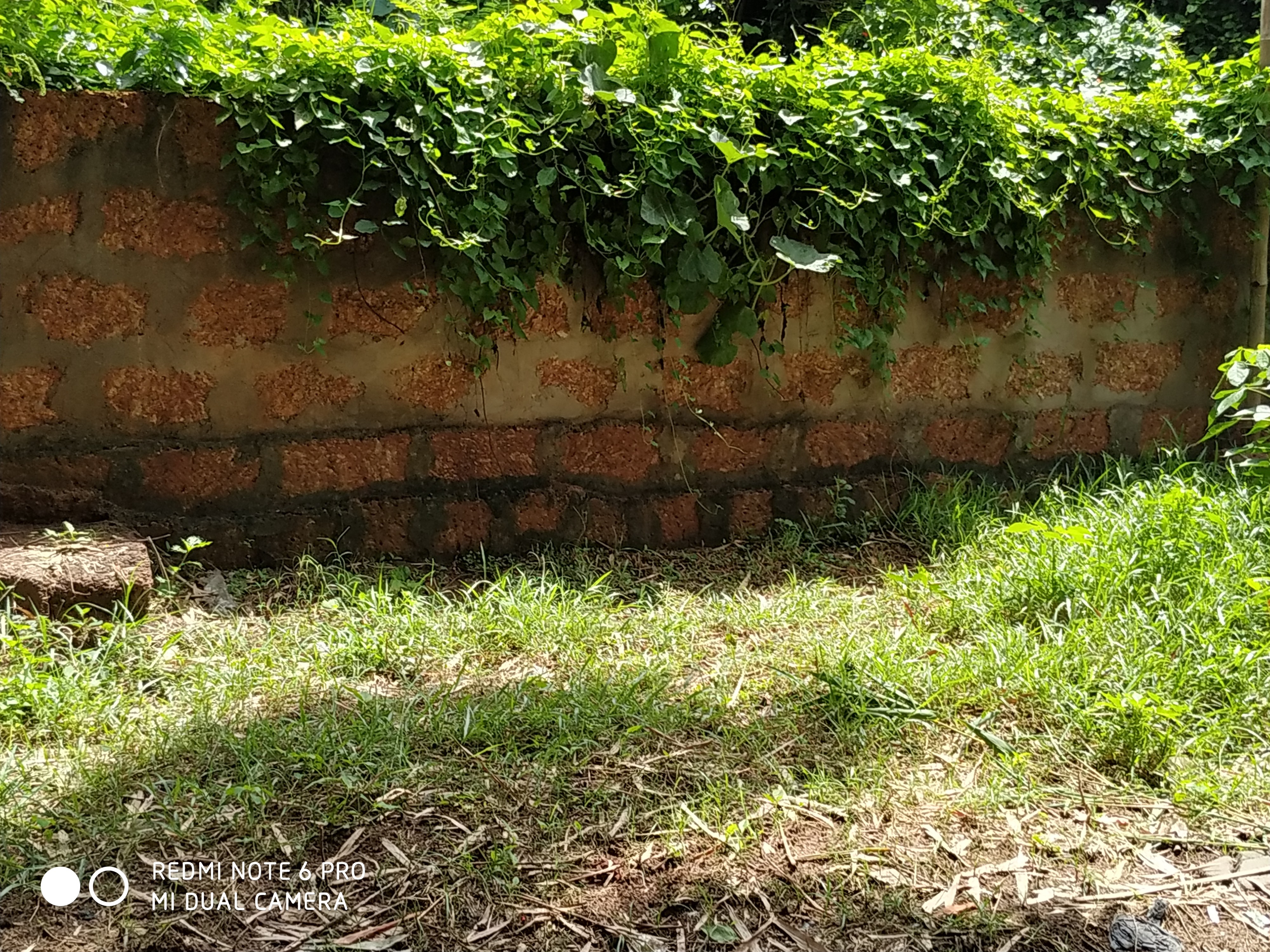 RESIDENTIAL_ PLOT/LAND IN DUMDUMA