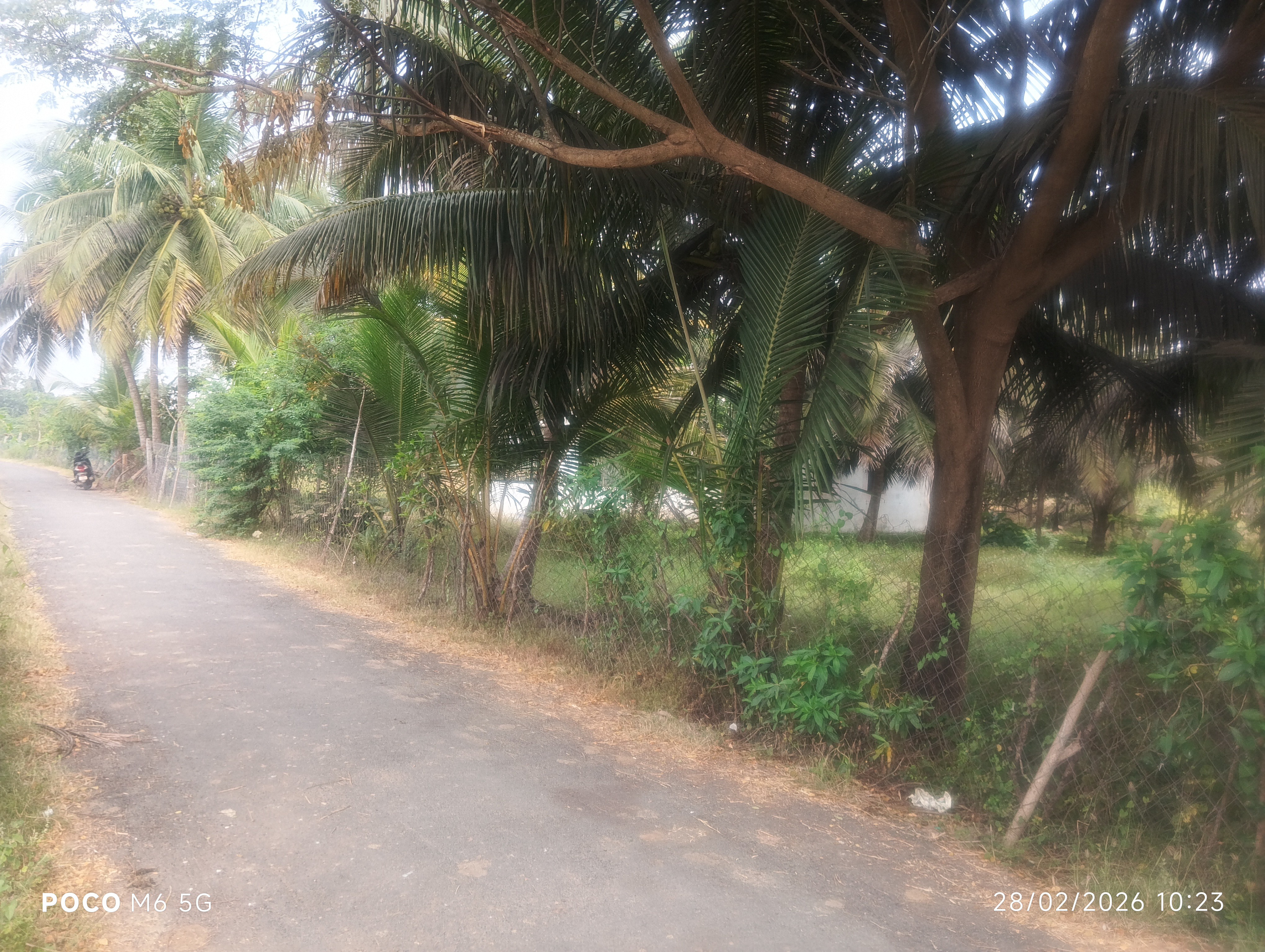 independence house 3