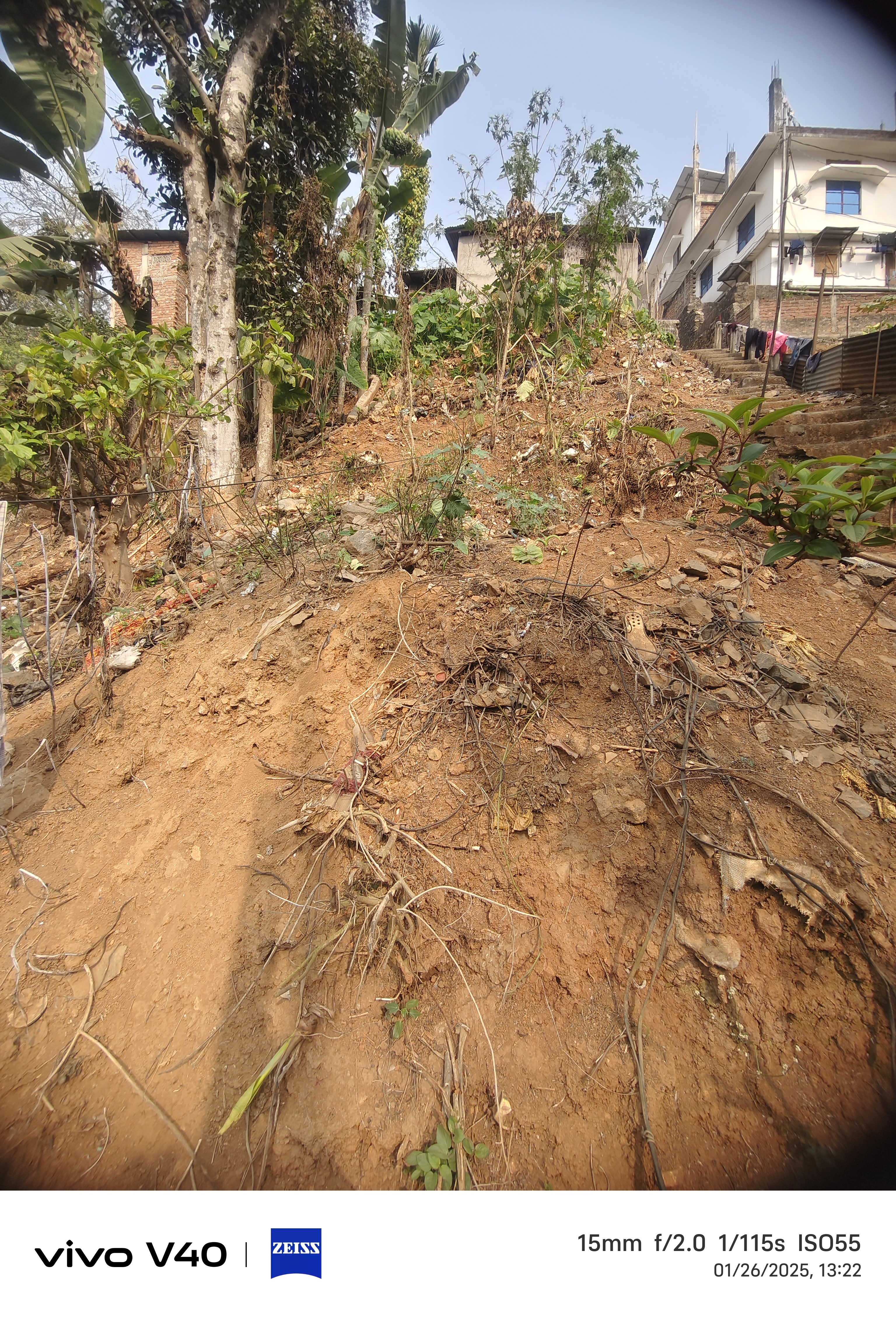 patta land adha kata 2