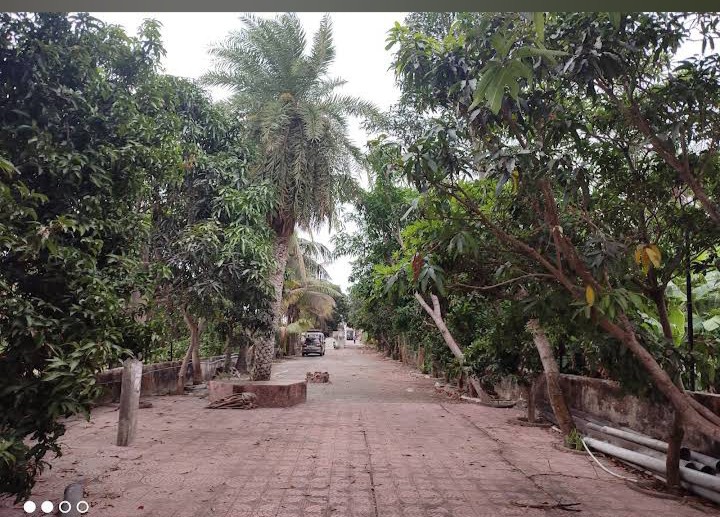 road side in market property Mandarmani West Bengal 2