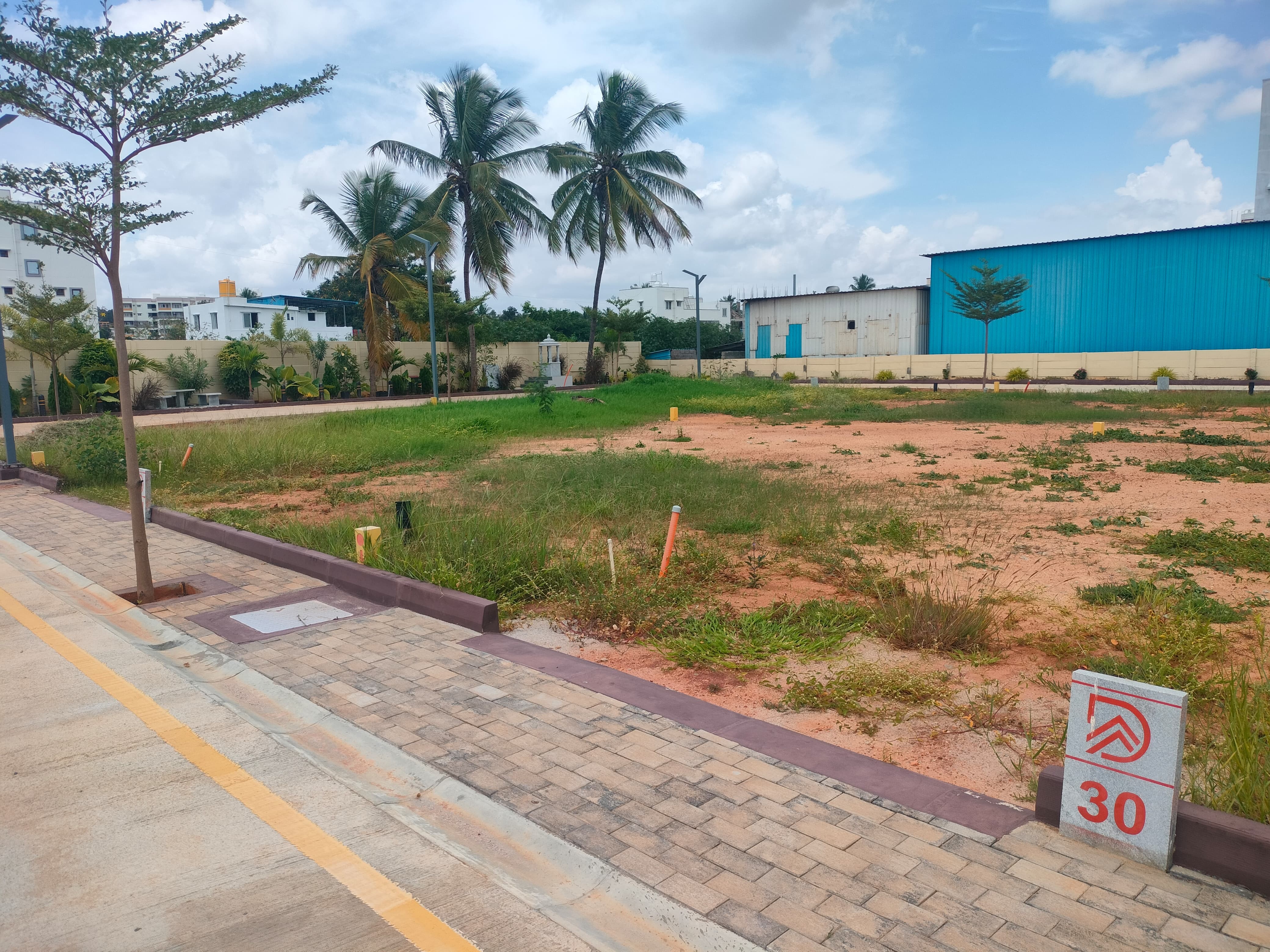 Shivanandi orchids 2