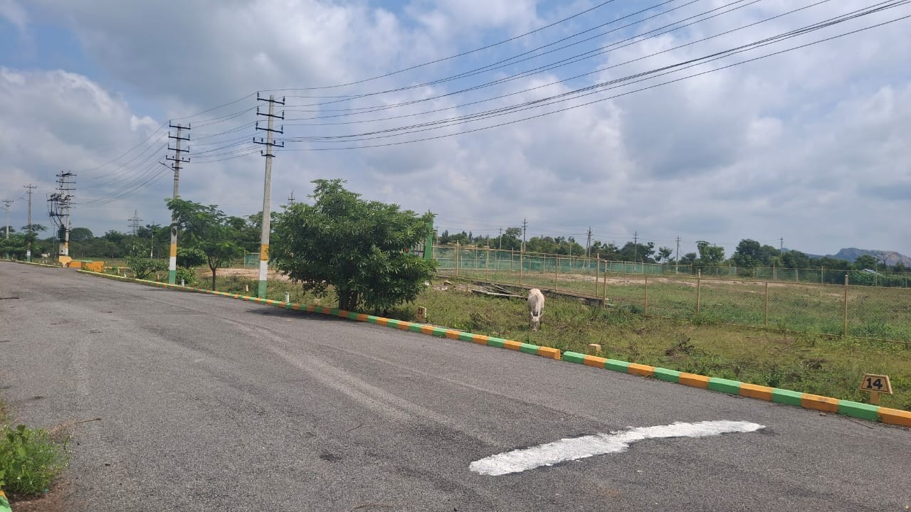 Kanakapura green
