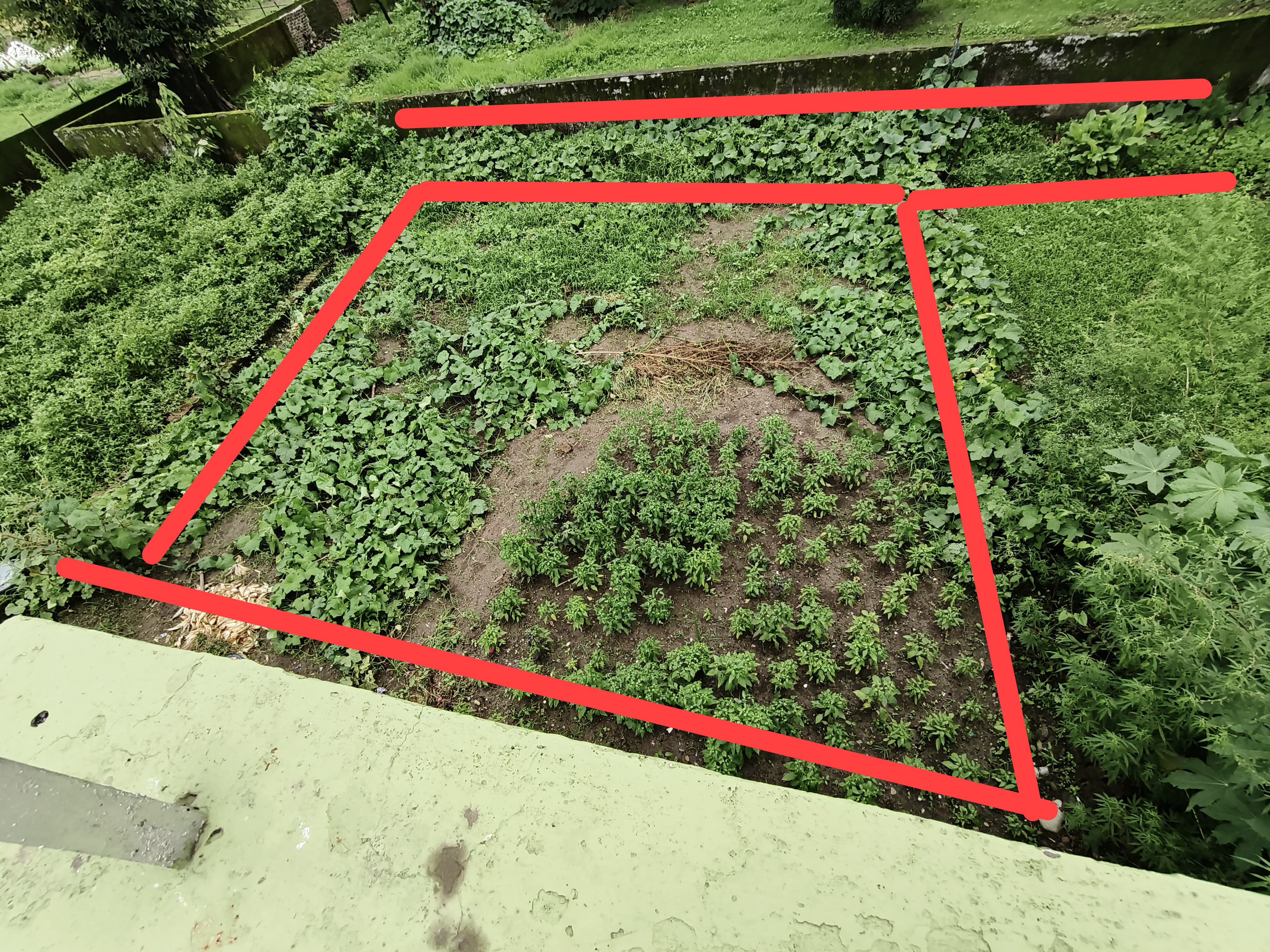 Land/plot