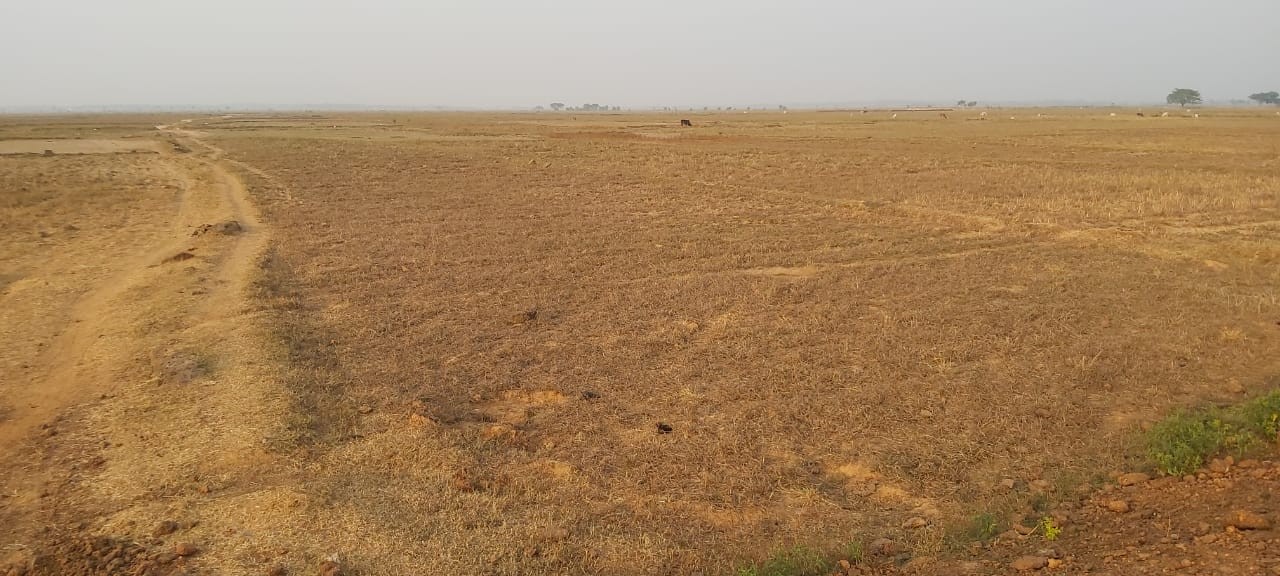 plot sale near khordha town area