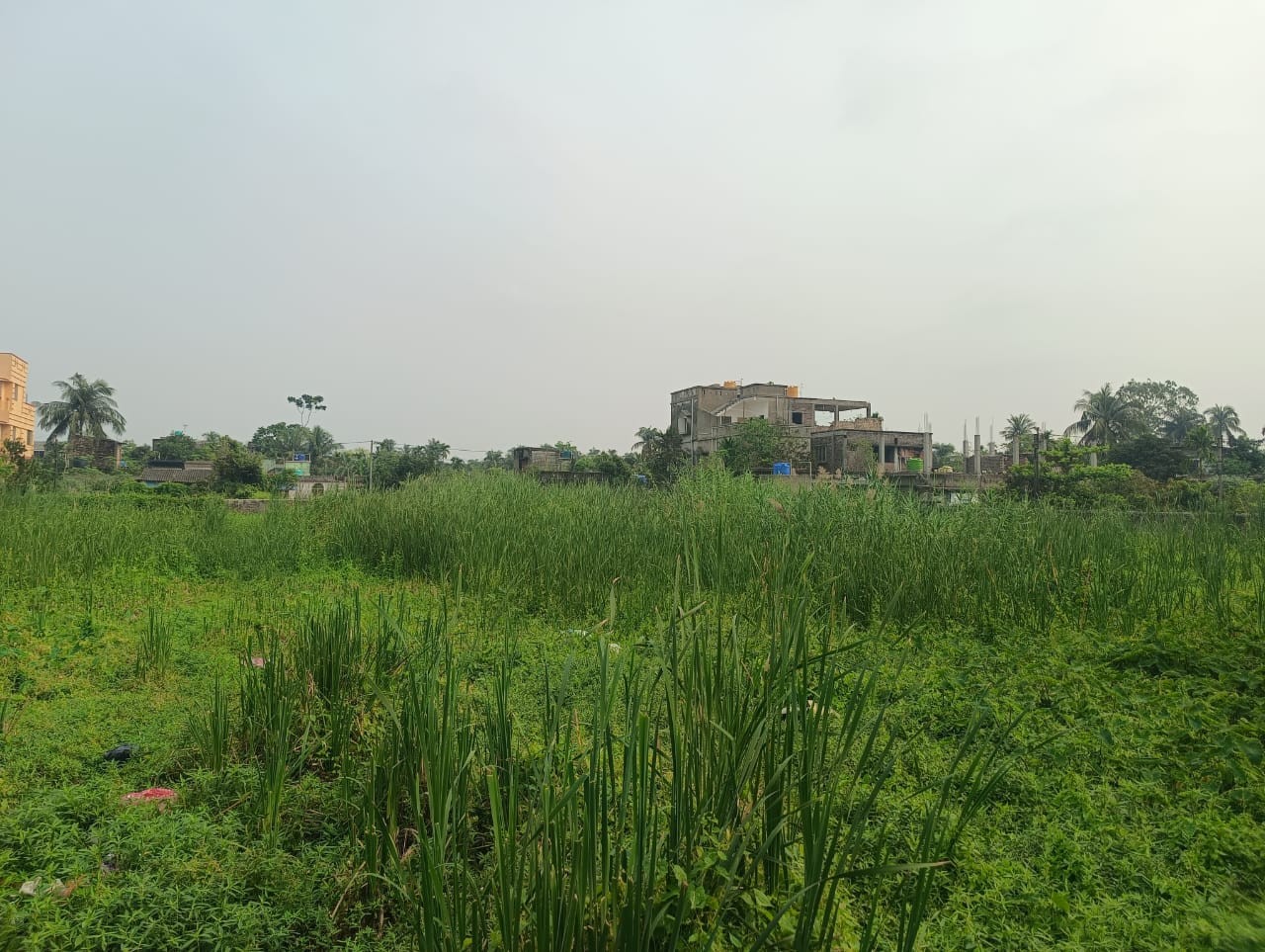 this plot on garia Sachindra pally 2