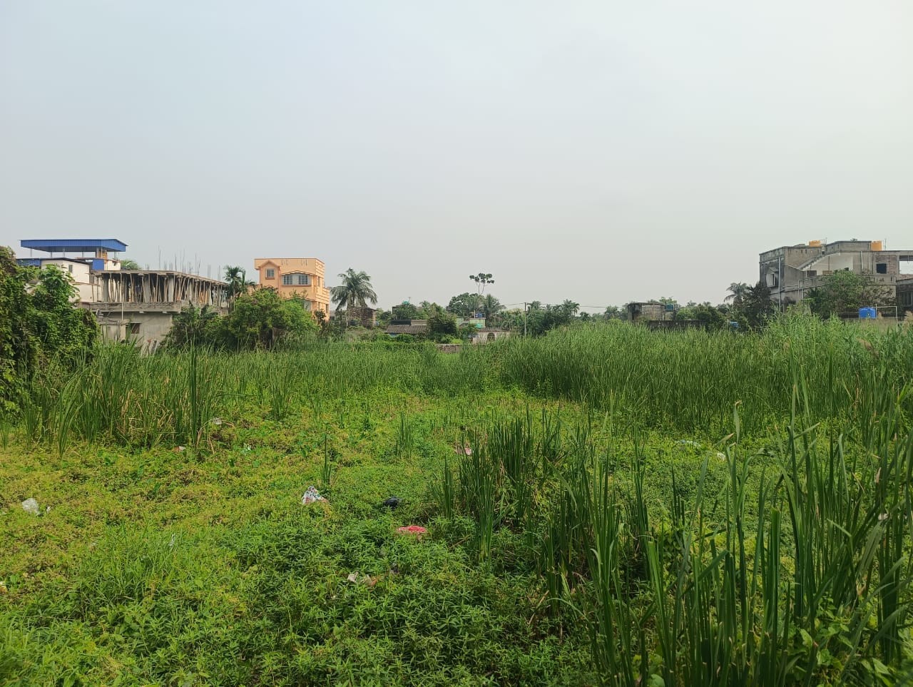 this plot on garia Sachindra pally