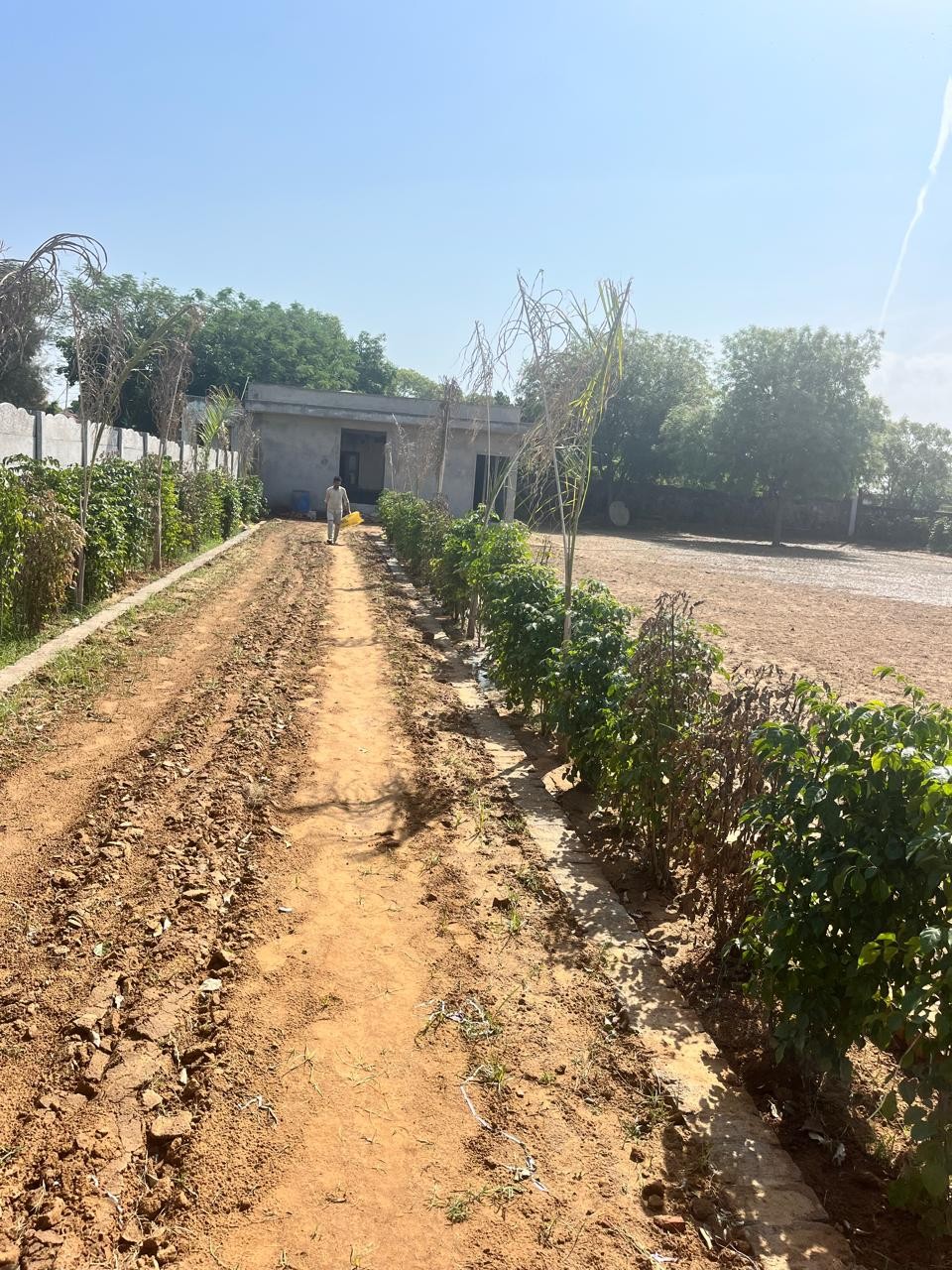 half acer farmhouse vatika westin resort sohna