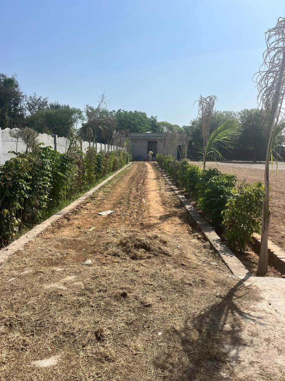 half acer farmhouse vatika westin resort sohna 3