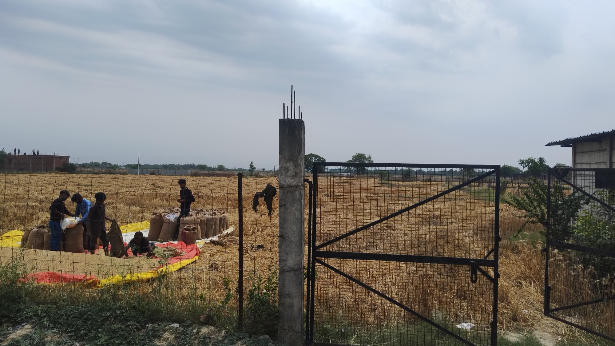 1.2 Lakh Sq Ft Open Commercial Land for Lease near Kisan Path