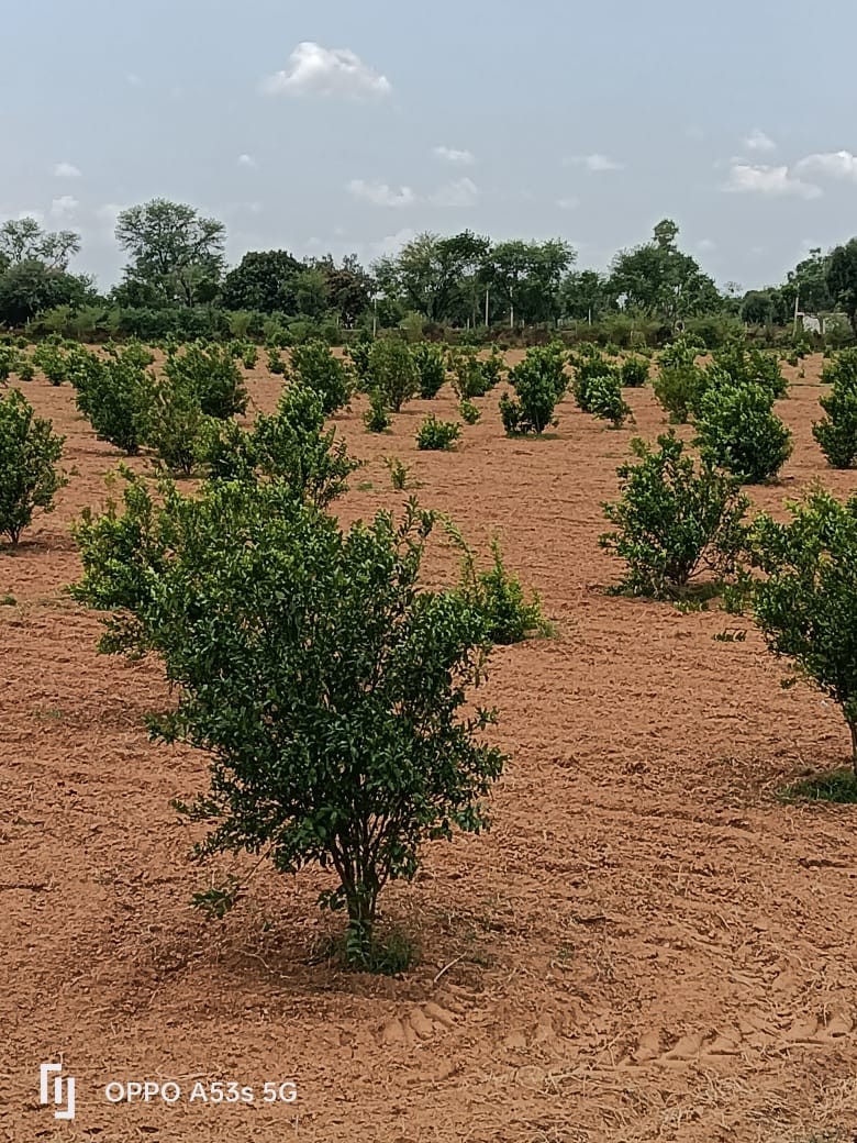 jda and rera approved luxury township with All facility