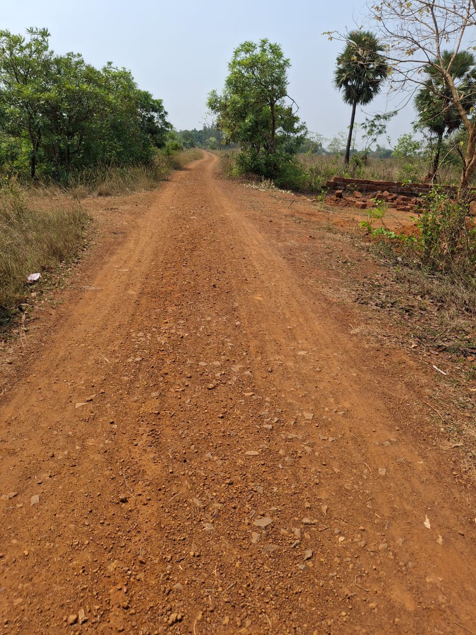 IIT BHUBANESWAR