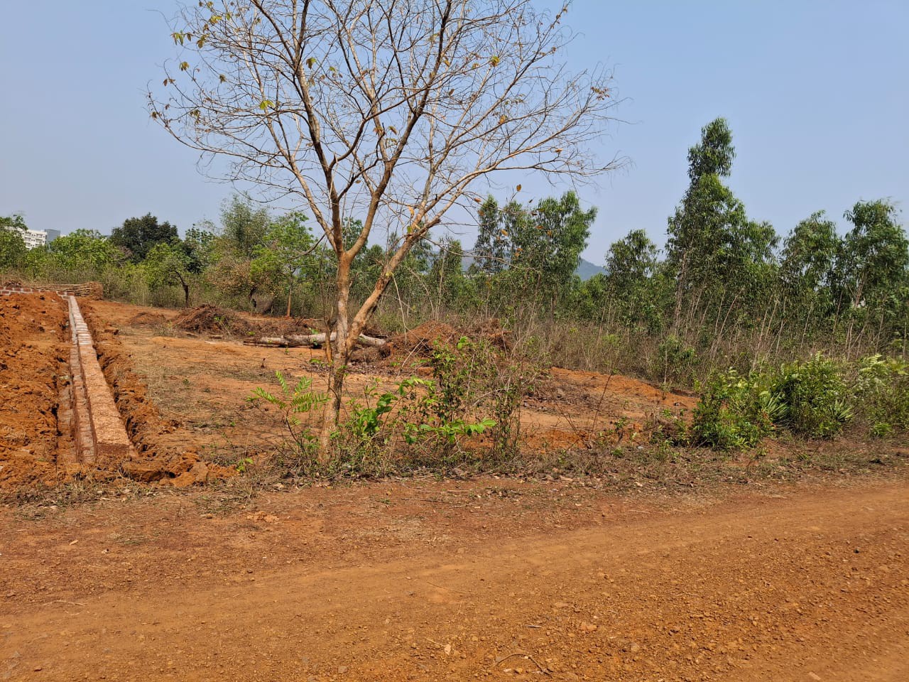 IIT BHUBANESWAR
