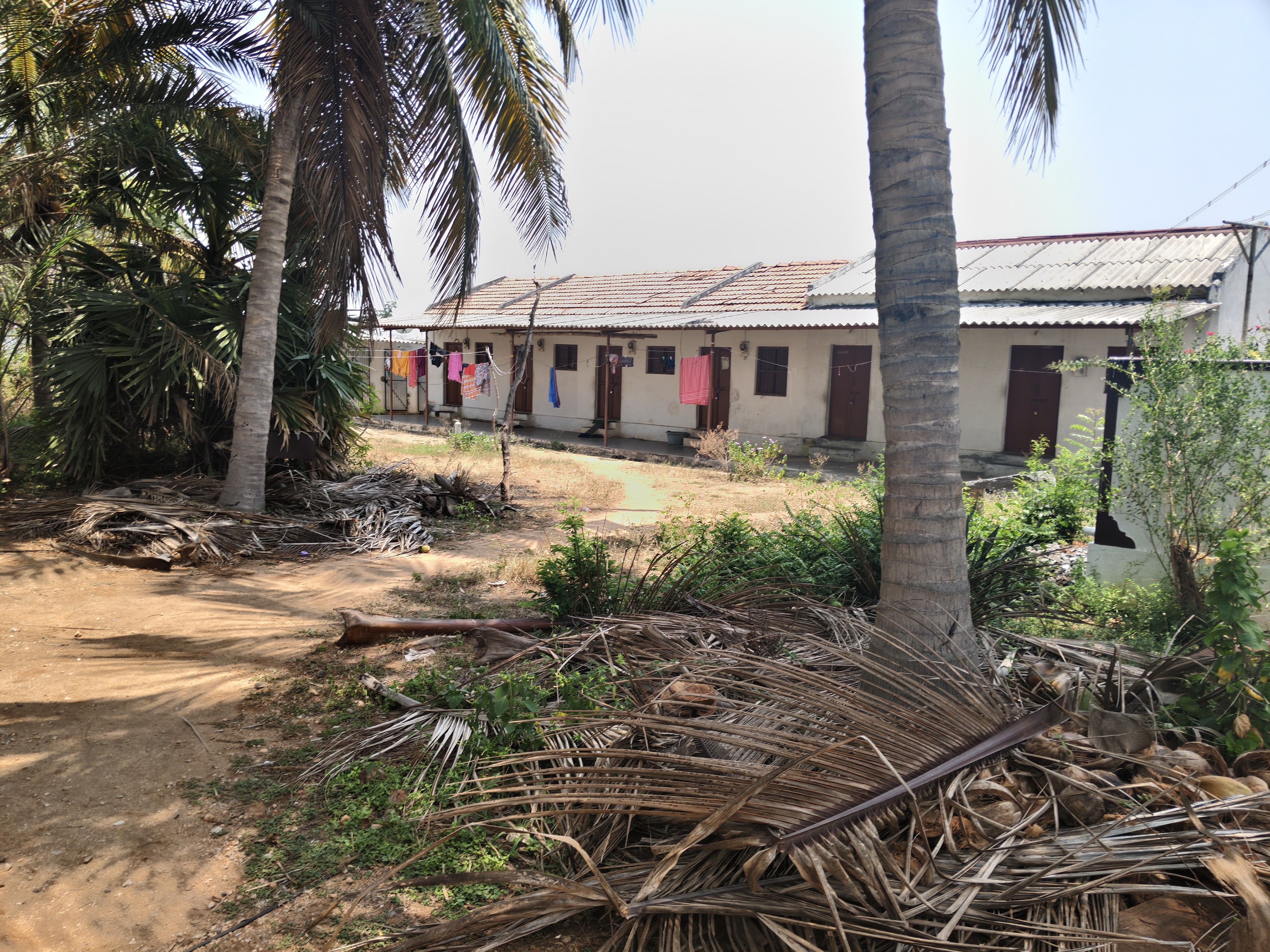 2.53 Acre land for sale 3