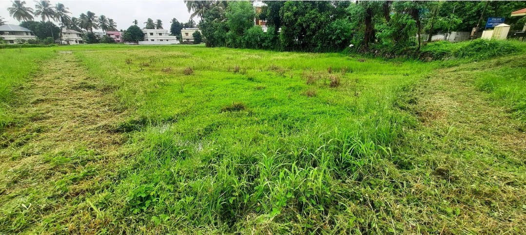 đź’Ž 22 Cents Prime Land | 1 km to Lulu Mall & Paalana Hospital | Kannadi Main Road | Opposite Kannadi Police Housing Colony Palakkad 3