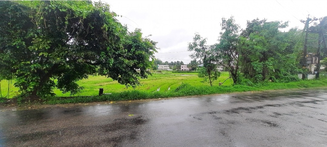 đź’Ž 22 Cents Prime Land | 1 km to Lulu Mall & Paalana Hospital | Kannadi Main Road | Opposite Kannadi Police Housing Colony Palakkad 2