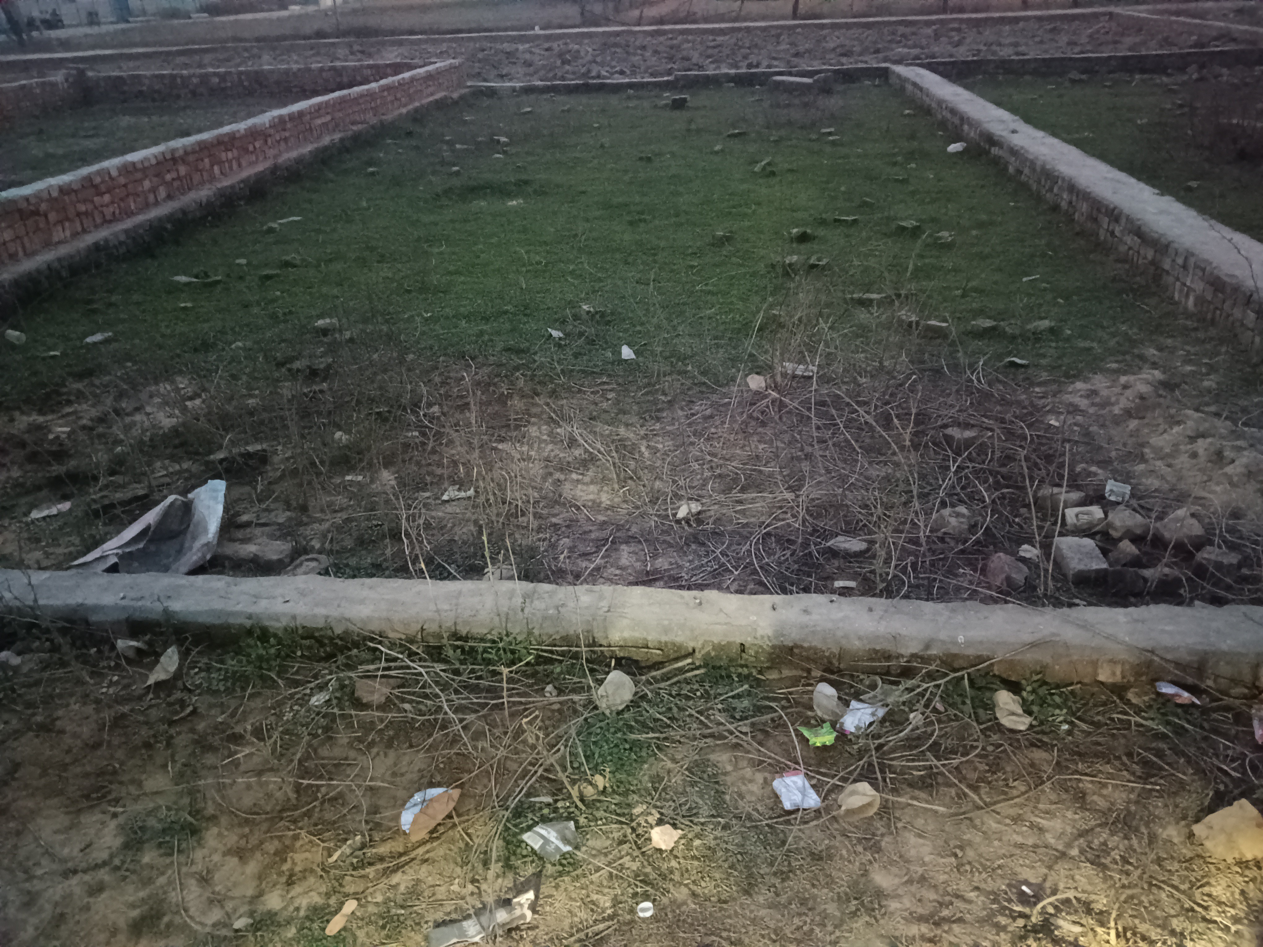 sarnath 2