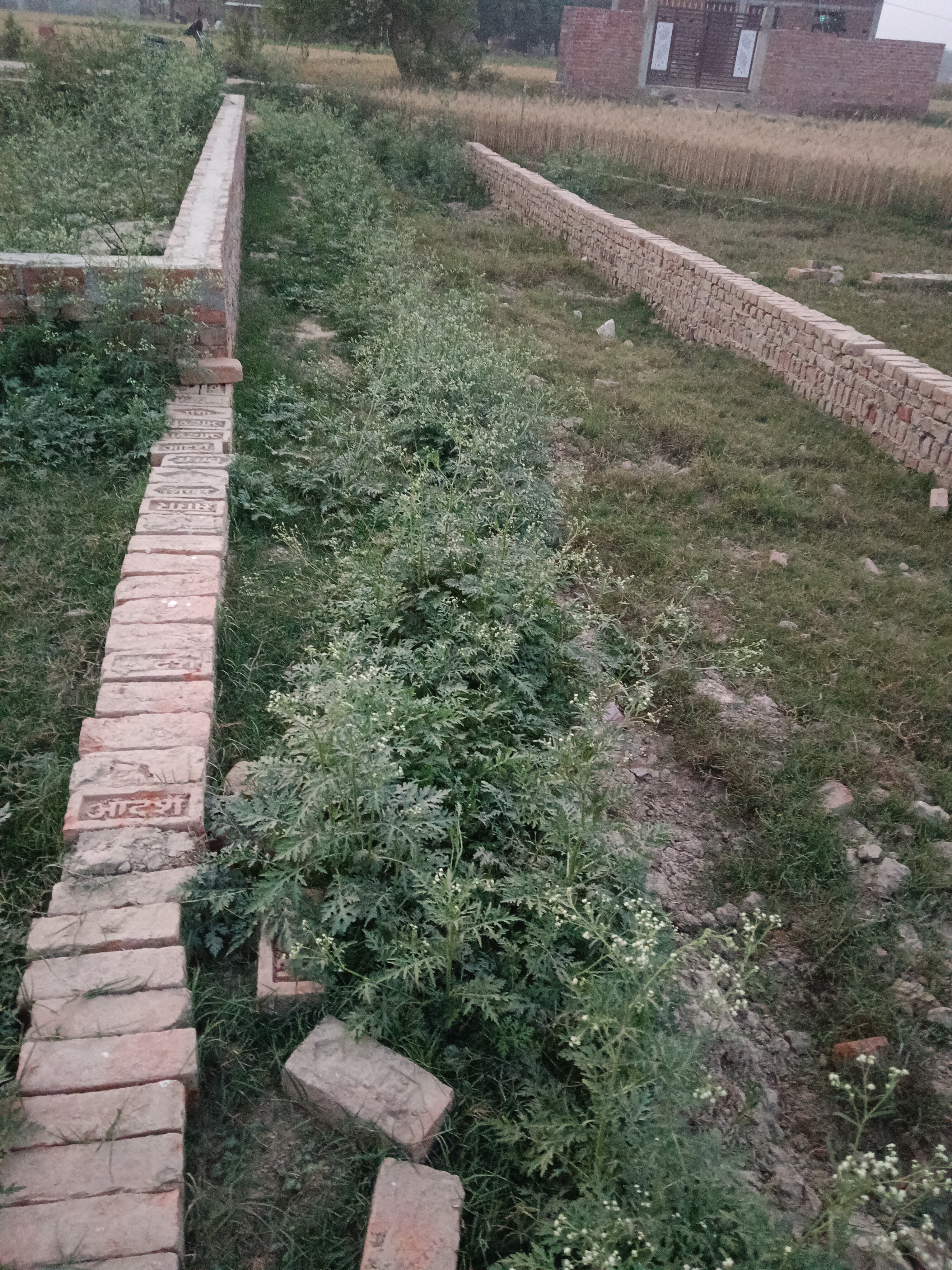 sarnath