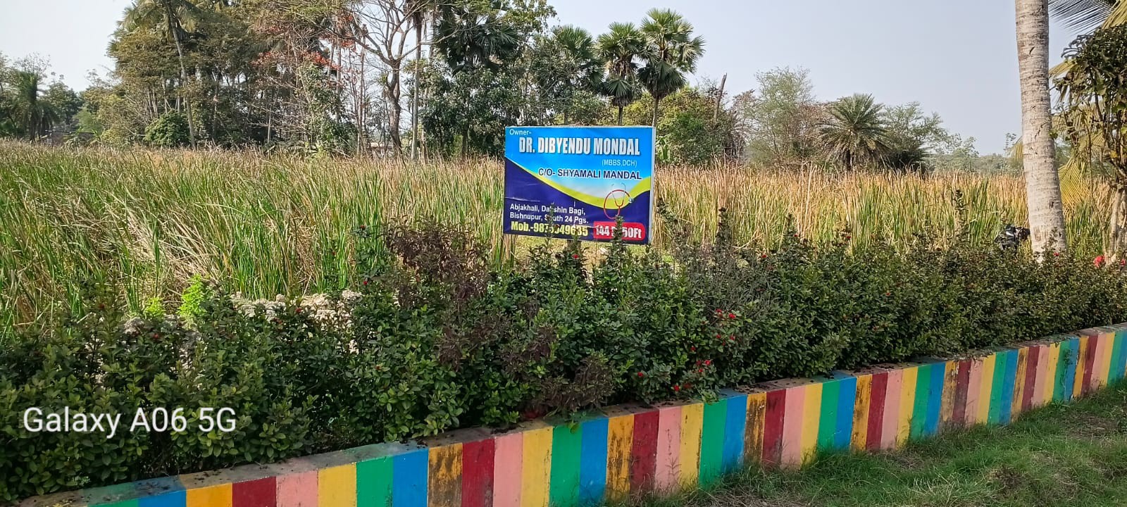 nature's paradise  3