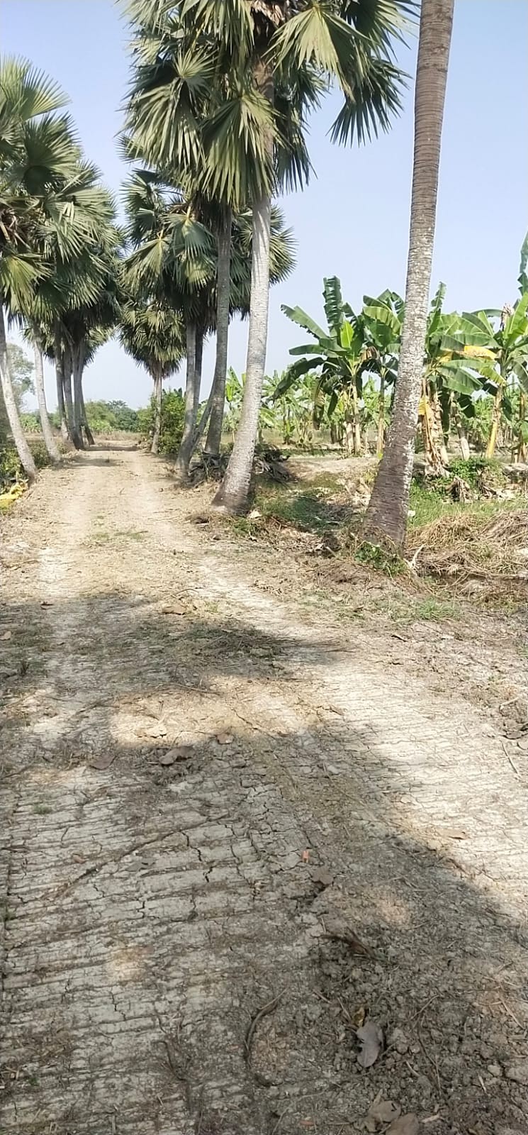 nature's paradise 2