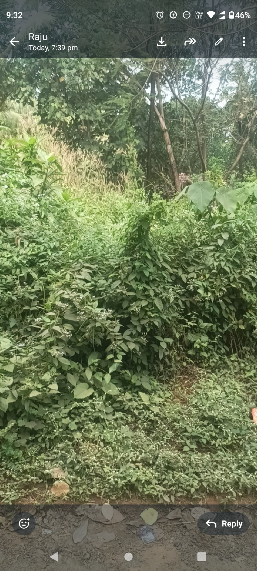 Kerala property for sale 