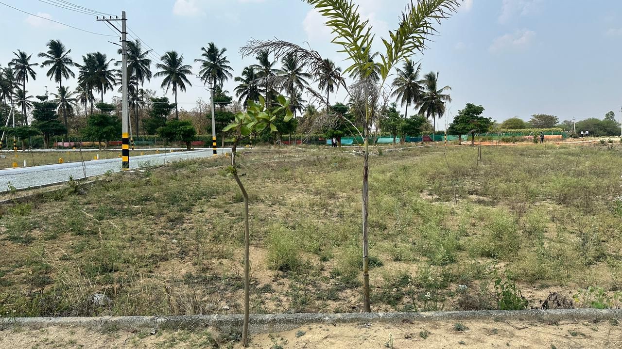 ASSETS.  RV GOLDEN CITY 3