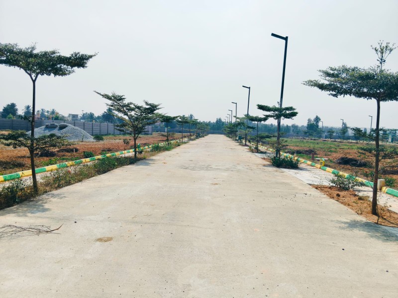 ORAIYAN ROYAL TOWNSHIP  2