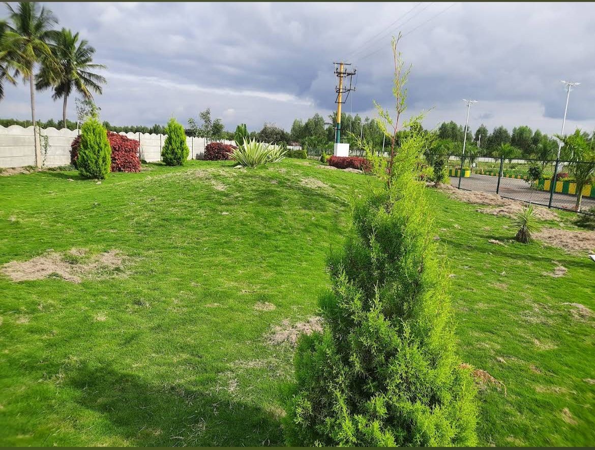 oraiyan express city 2