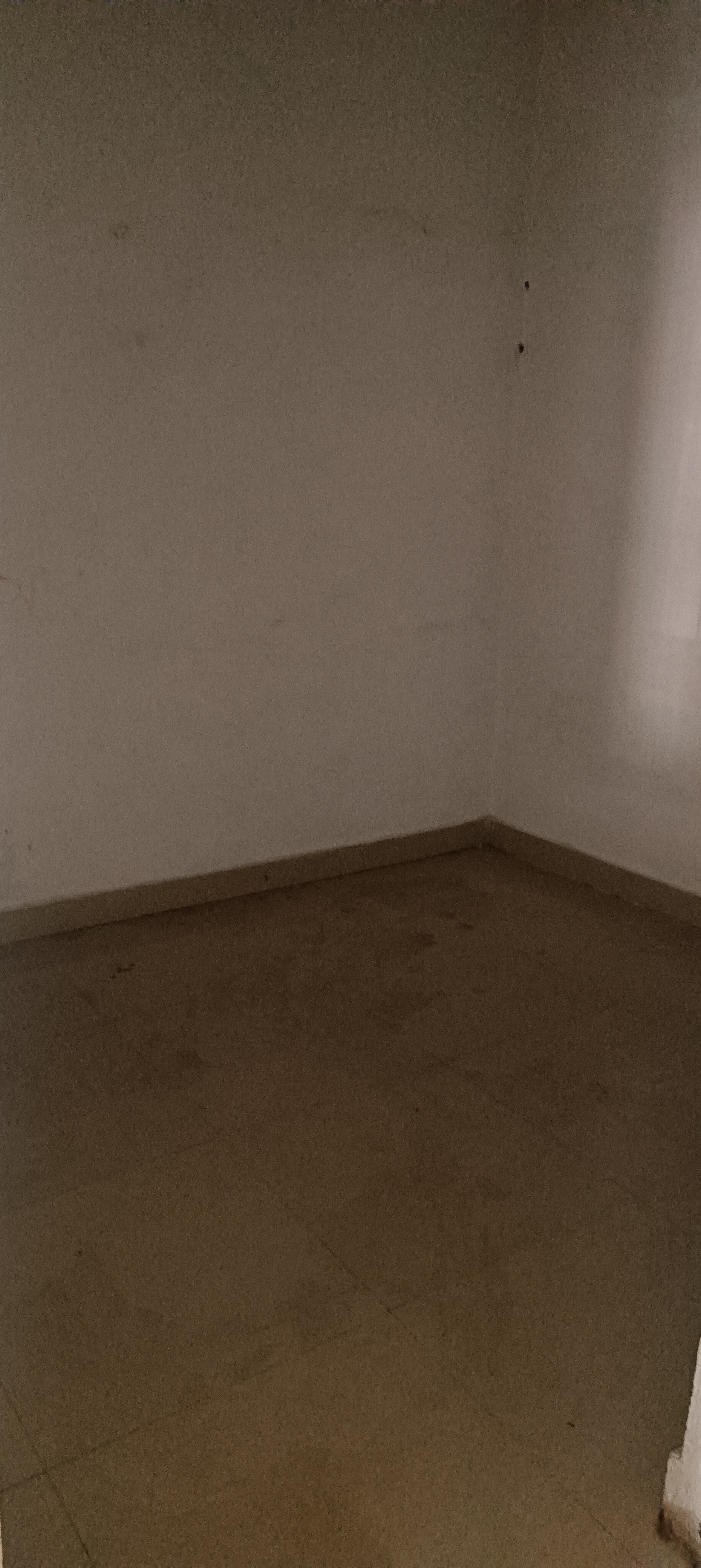 2bhk home in rent
