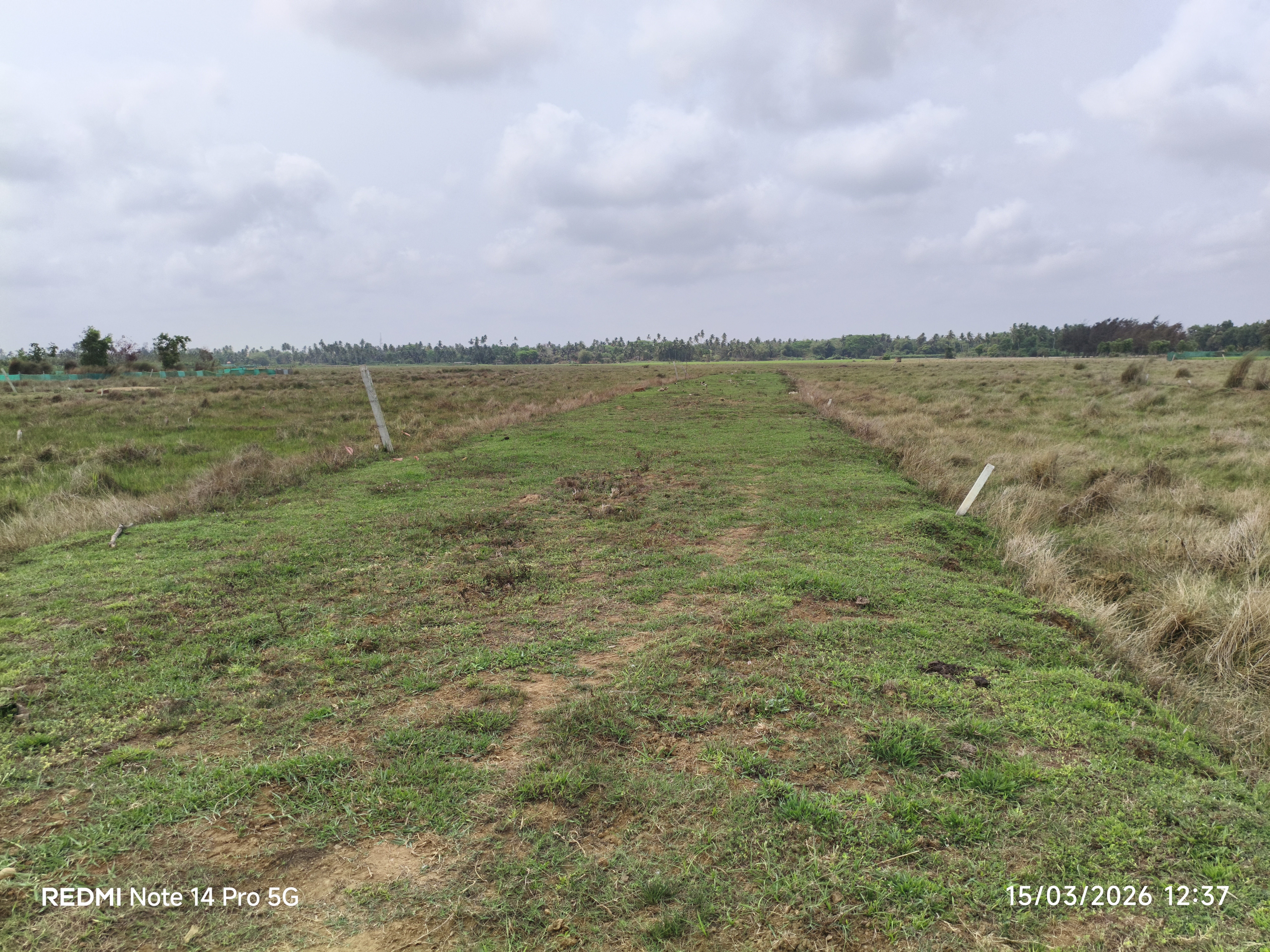 RB Green Land Phase 2