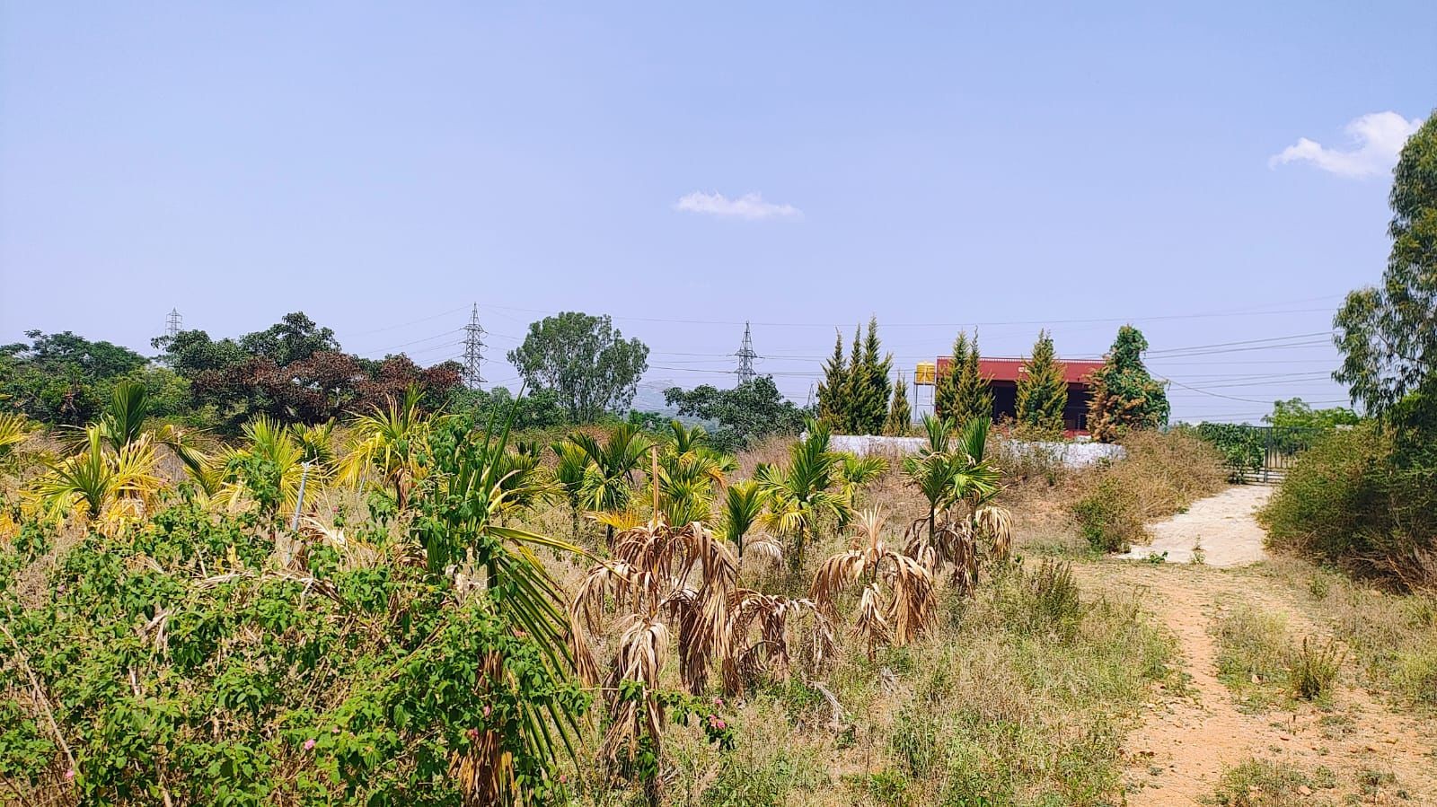 farm house 3