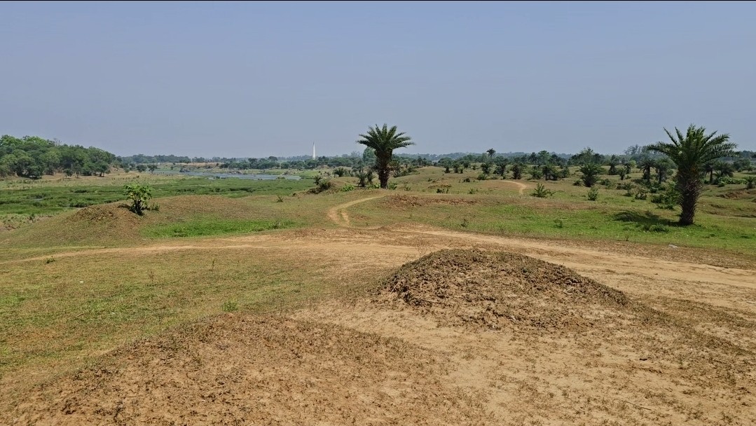50 Bigha Riverside Land Near Mukutmanipur Ideal for Resort Farmhouse & Investmen 2