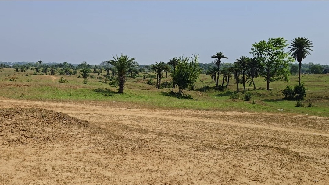 50 Bigha Riverside Land Near Mukutmanipur Ideal for Resort Farmhouse & Investmen 3