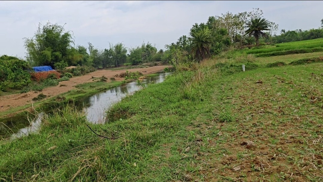 22 Bigha River Side Agricultural Land for Sale | Only ₹4.25 Lakh per Bigha | Hig 3