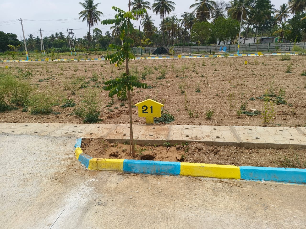 maruthi city 3